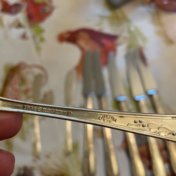 Vintage WM A ROGERS Oneida LTD Silverplate MEADOWBROOK Flatware  57 Pieces - Picture 7 of 7